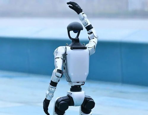 人形機器人產業迎來爆發期，宇樹科技啟動IPO引領行業新浪潮